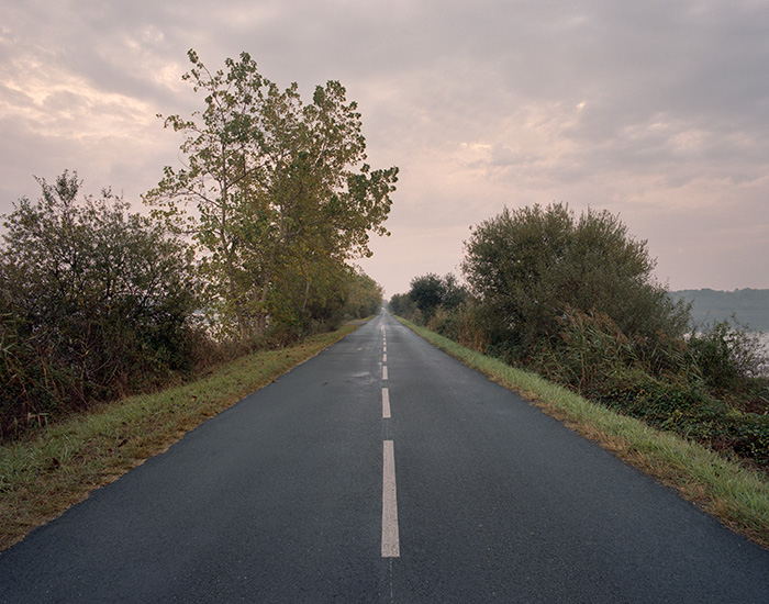 Landes / Marais d'Orx 2014