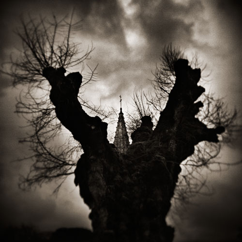 Biscarosse - 2010